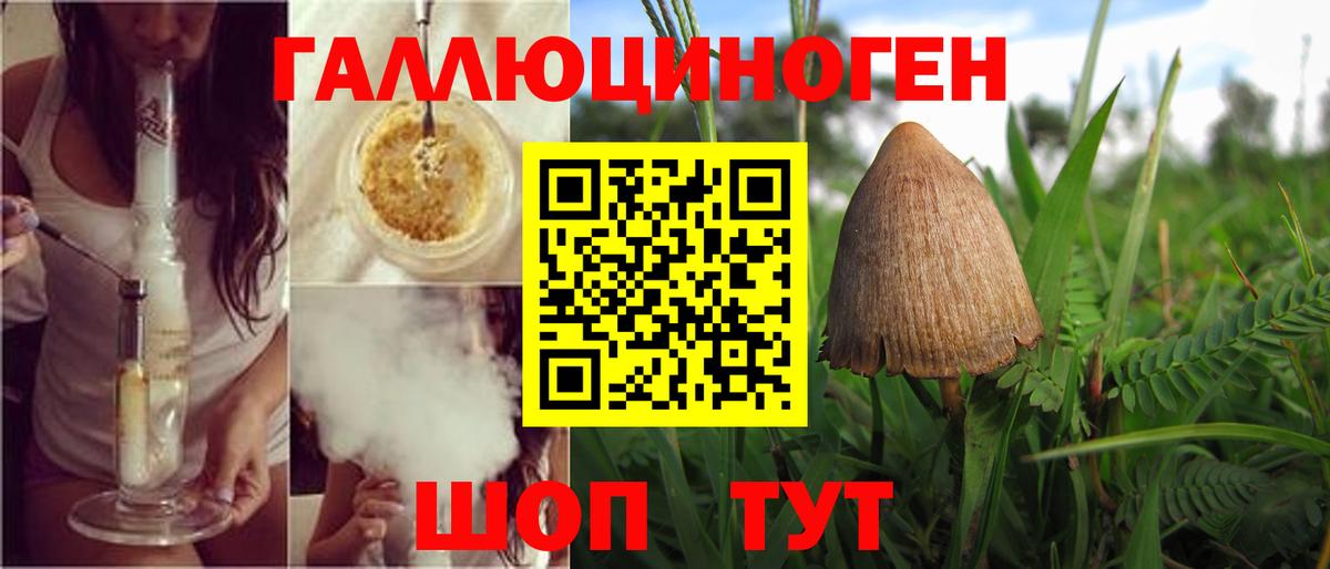 Галлюциногенные грибы Psilocybe  что такое наркотик  Копейск  Вход с VPN 